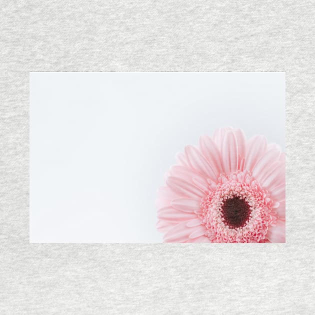 Simple Pink Daisy by NewburyBoutique